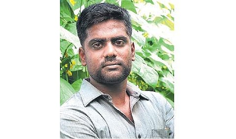 இஸ்ரேல் தொழில்நுட்பத்தில் மதுரையில் வெள்ளரி சாகுபடி﻿: வெளிநாடுகளுக்கு ஏற்றுமதியாவதால் வரவேற்பு﻿