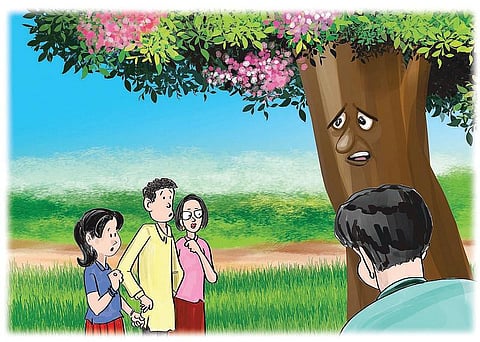 பசுமைப் பள்ளி-12: வேதி வயல்﻿