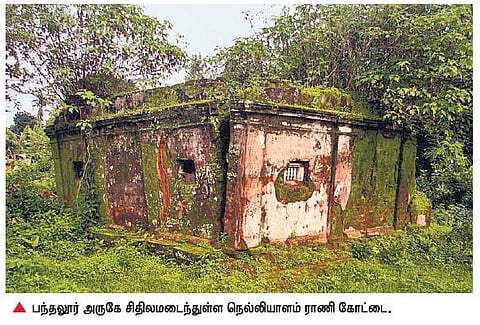 அழிந்து வரும் வரலாற்றுச் சின்னமான ‘நெல்லியாளம் ராணி கோட்டை’﻿: சுற்றுலா ஸ்தலமாக மாற்ற மக்கள் கோரிக்கை﻿