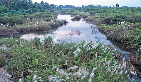 நம்பிக் கெட்டது நம்பியாறு!