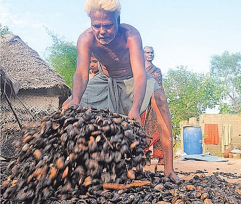 இழப்பின் வலிகள்தான் எத்தனை விதம்!
