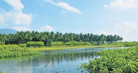 சென்னைவாசிகளுக்கு வந்தால் மட்டும்தான்﻿ ரத்தமா?