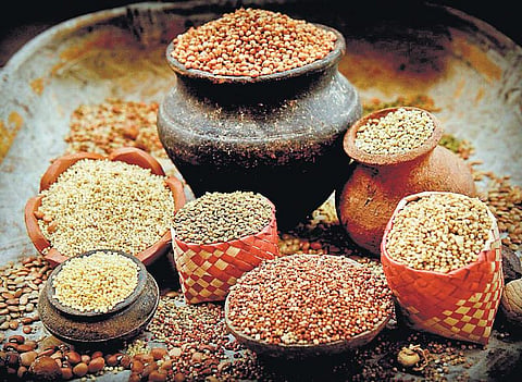 முன்னத்தி ஏர் 14: ஏன் வீழ்ந்தன நம் தானியங்கள்?﻿