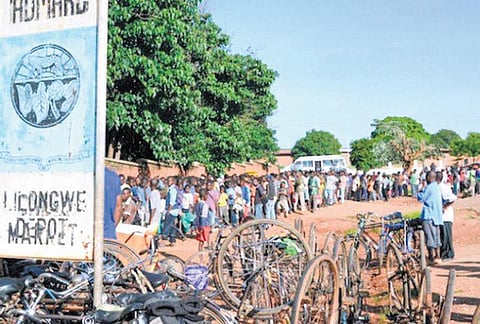 தெற்கு ஆப்பிரிக்க நாடுகளில் பஞ்சத்தால் 1.4 கோடி பேர் பரிதவிப்பு﻿