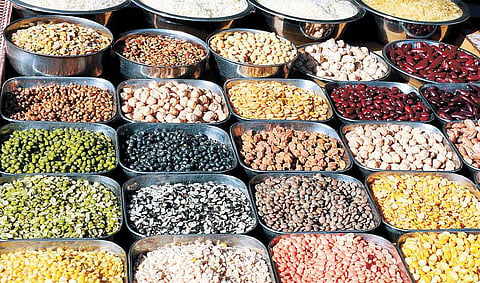 பயறு சாகுபடியில் முதலிடம் வகித்தும் இந்தியாவில் தட்டுப்பாடு﻿: ஹெக்டேருக்கு 1,000 கிலோ உற்பத்திக்கு வேளாண் ஆராய்ச்சிக் கழகம் இலக்கு﻿