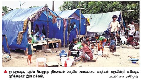 தூத்துக்குடியில் 40 ஆண்டுகளாக வசித்தும்﻿ உரிமைகளின்றி தவிக்கும் நரிக்குறவர் குடும்பங்கள்﻿