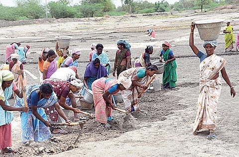 உலகை வியக்க வைக்கும் வேலைவாய்ப்புத் திட்டம்﻿