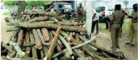 ரூ. 6 கோடி செம்மரம் பறிமுதல்﻿ போலீஸ்காரர் உட்பட 19 பேர் கைது﻿