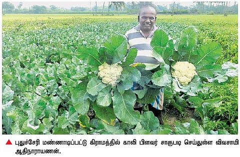 மலைப் பிரதேசங்களில் விளையும் பயிர்களை சாகுபடி செய்து அசத்தும் புதுச்சேரி விவசாயி﻿﻿