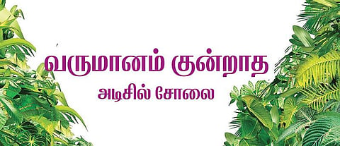 முன்னத்தி ஏர் 19: வருமானம் குன்றாத அடிசில் சோலை﻿