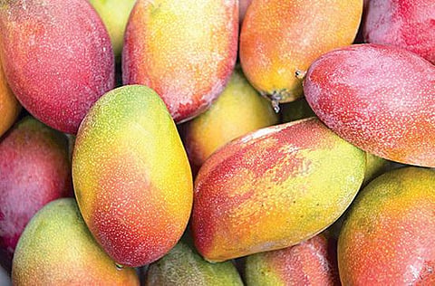 வழிகாட்டுகிறது `திஷா’﻿