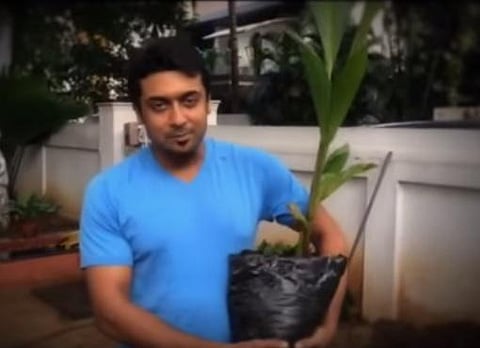 சுற்றுச்சூழல் கல்வியை மாணவர்கள், பொதுமக்கள் மத்தியில் எப்படி எடுத்துச் செல்லலாம்?﻿ - நிபுணர்களுடன் நடிகர் சூர்யா முக்கிய ஆலோசனை﻿