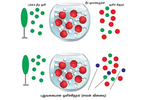 ஒளியின் நண்பன்﻿