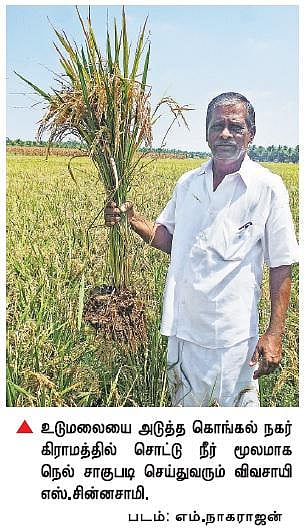 வறட்சி பகுதியில் சொட்டு நீர் பாசனத்தில் நெல் சாகுபடி﻿: கொங்கல் நகர் கிராம விவசாயி சாதனை﻿