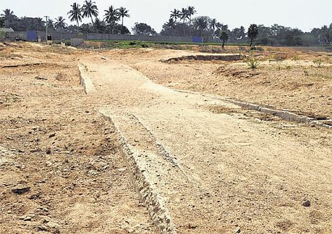 நிலத்தடி நீர்மட்டத்தை உயர்த்த பாலாற்றில்﻿ களிமண் தரைகீழ் தடுப்பணை கட்ட விவசாயிகள் கோரிக்கை﻿