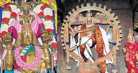 வசந்த விழாக்கோலம்﻿