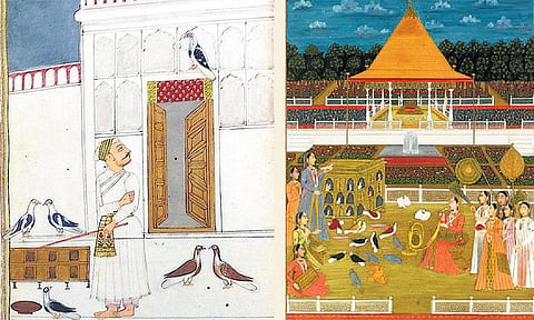 முகலாயர்களின் தீராத புறா காதல்