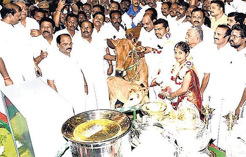 முதல்வர் ஜெயலலிதா பிறந்த நாளையொட்டி﻿ தஞ்சை, திருவாரூரில் 304 ஜோடிகளுக்கு இலவச திருமணம்﻿: சீர்வரிசைப் பொருட்கள், பசு-கன்று அன்பளிப்பு﻿