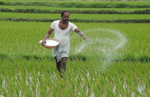 விவசாயிகள் வங்கி கணக்கில் உர மானியம்