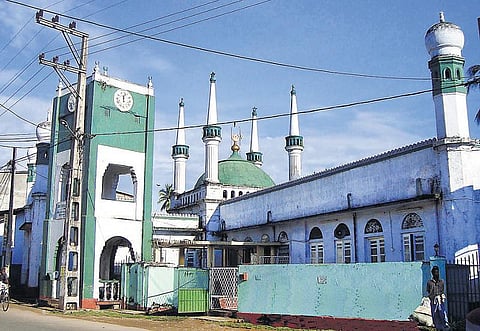இறைநேசர்களின் நினைவிடங்கள்﻿: பூனையிடம் பேசிய இறைநேசர்﻿ - பல்லக்கு அப்பா
