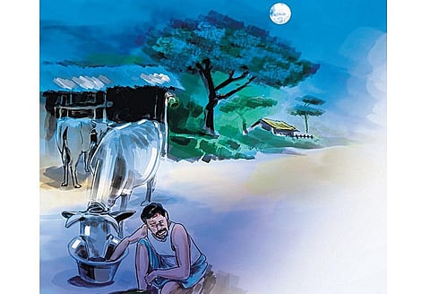 எங்க ஊரு வாசம்: மாடுகளுக்கு தைப்பொங்கல் பிஞ்சைக்குக் காப்பு!﻿