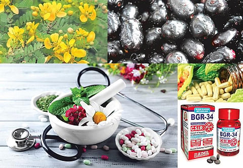 மரபு மருத்துவம்: நீரிழிவைக் கட்டுப்படுத்தும் இந்திய மருந்துகள்﻿
