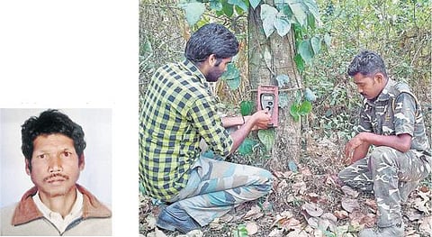 நீலகிரியில் 3 ஆண்டுகளாக மனித வேட்டை﻿: தொழிலாளியை கொன்ற புலியால் பீதி﻿ - 3 குழுக்கள் ரோந்து பணி; கூண்டுகள் அமைப்பு﻿