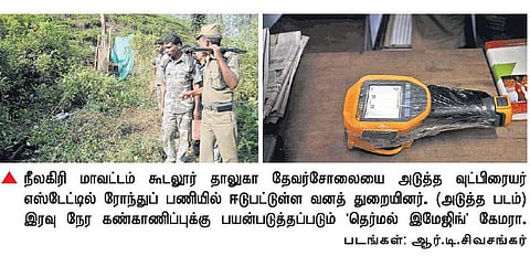 5 நாட்களாக பிடிபடாமல் சுற்றித் திரியும்﻿ புலியை கண்காணிக்க ‘தெர்மல் இமேஜிங்’ கேமரா﻿