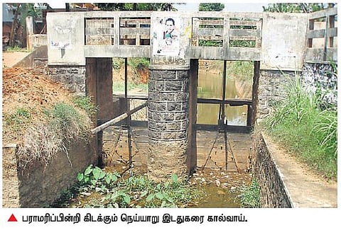 நெய்யாறு, தேனீ மையம் கைகூடுமா?﻿ - கனவாகவே தொடரும் விளவங்கோடு மக்களின் எதிர்பார்ப்பு﻿