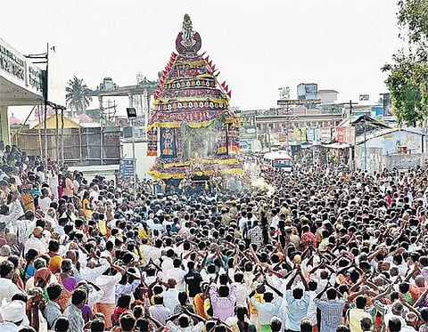 பக்தர்களின் அரோகரா கோஷம் முழங்க﻿ பழநியில் பங்குனி உத்திர தேரோட்டம்﻿