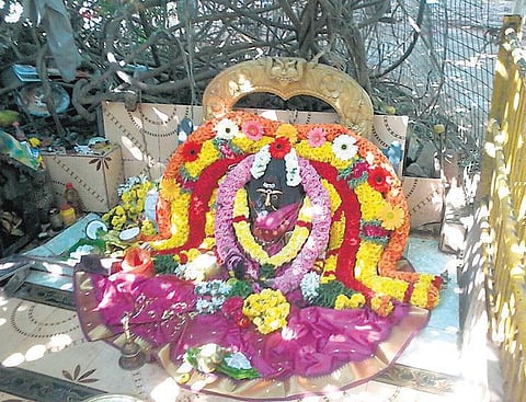 கிராம தெய்வங்கள்: காட்டுக்குள் உருவெடுத்த செல்லியம்மன்﻿