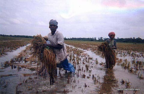 157 - புவனகிரி
