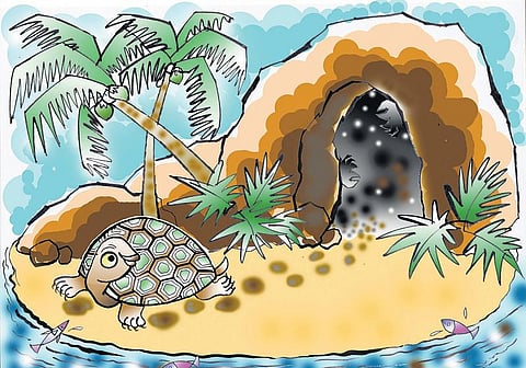 சித்திரக் கதை: குட்டி ஆமையும் குகை அரக்கர்களும்﻿