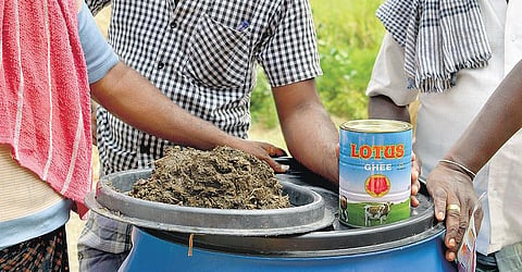 முன்னத்தி ஏர் 26: நெல்லுக்கு ஊட்டம் தரும் இயற்கைக் கரைசல்கள்﻿