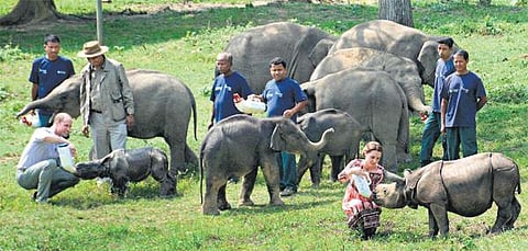 அசாமில் இயற்கை எழில் கொஞ்சும் புராதன பகுதியான காசிரங்கா தேசிய பூங்கா﻿வை சுற்றிப்பார்த்த இளவரசர் வில்லியம் - கேத்﻿
