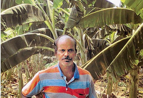 முன்னத்தி ஏர் 28: பஞ்சாலையைத் துறந்து காய்கறி சாகுபடிக்கு﻿...