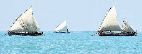 ராமேசுவரம் தீவுப் பகுதிகளில்﻿ உயிர்ப்புடன் பின்பற்றப்படும் பாய்மரப் படகு மீன்பிடி முறை﻿