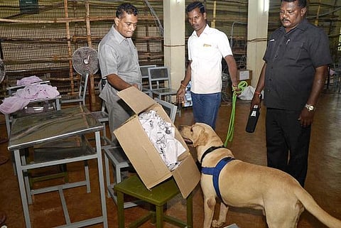 தமிழகம் உட்பட 5 மாநிலங்களில் ஆட்சி அமைக்கப்போவது யார்?﻿﻿ - இன்று வாக்கு எண்ணிக்கை﻿