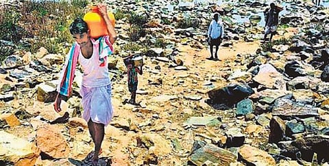 நதிநீர் இணைப்பு சரிதானா?﻿