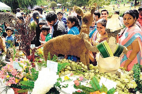 நீலகிரி மாவட்டத்தில் உதகை தவிர﻿ பிற சுற்றுலா தலங்களில் பயணிகள் கூட்டம் இல்லை: கட்டமைப்பு வசதிகளை மேம்படுத்த கோரிக்கை﻿