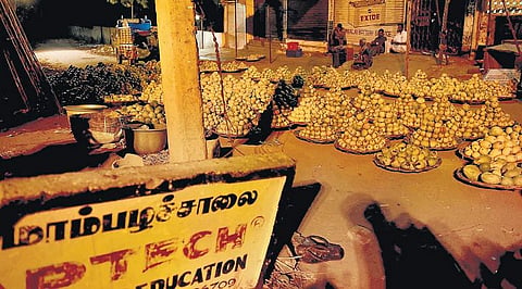 திருச்சி - ஸ்ரீரங்கம் செல்லும் வழியில்﻿ 100 ஆண்டுகளைக் கடந்தும் மவுசு குறையாத மாம்பழச் சாலை﻿: சுற்றுலாப் பயணிகளை கவரும் ‘இமாம்பசந்த் ரகம்﻿