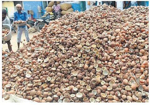 6 மாதங்களில் 50 ஆயிரம் மெட்ரிக் டன் வரை கொப்பரைத் தேங்காய் கொள்முதல்﻿: கூட்டுறவுத் துறை மூலம் வாங்க வேளாண்துறை நடவடிக்கை﻿﻿
