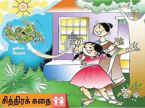 சித்திரக் கதை: சிந்துவும் வண்ணக்குருவியும்!﻿
