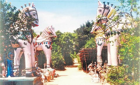 அழிவின் விளிம்பில் உள்ள﻿ 700 கோயில் காடுகளை பாதுகாக்க நடவடிக்கை: ஒடிஸா மாநில அரசு முடிவு﻿