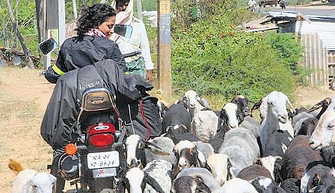 அசோகரின் ஆட்சியில் செழித்த நர்மதை தேசம்!﻿