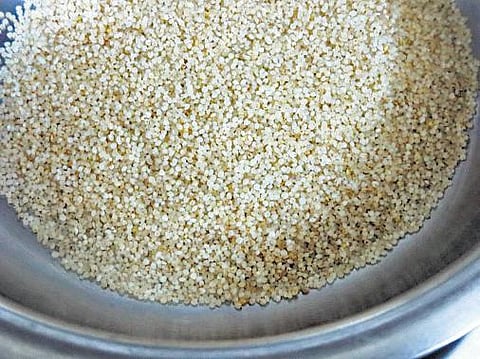 விருதுநகர் மாவட்டத்தில் குதிரைவாலியை தொடர்ந்து﻿ சாமை விதை பண்ணை அமைக்க திட்டம்﻿