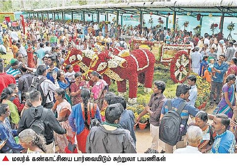 ஏற்காட்டில் கோடை விழா தொடக்கம்: மலர்க் கண்காட்சியை ரசித்த பயணிகள்