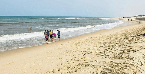 கடலோர பகுதிகளில் அரிப்பை தடுக்க விரிவான கடற்கரை பாதுகாப்பு மேலாண்மை திட்டம்﻿: சுற்றுச்சூழல் துறை உருவாக்கி வருகிறது﻿