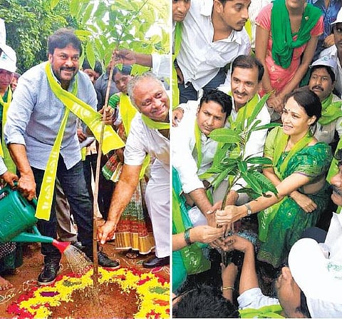 தெலங்கானாவில் பசுமை புரட்சி: 46 கோடி மரக்கன்றுகளை நட முடிவு﻿
