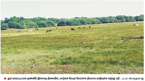 10 ஆயிரம் ஏக்கருக்கு பாசன வசதி அளிக்கும் சோழர் கால வடுவூர் ஏரி தூர்வாரப்படுமா?﻿